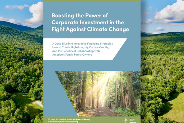 American_Forest_Foundation_11_7_23_resource_cover_image